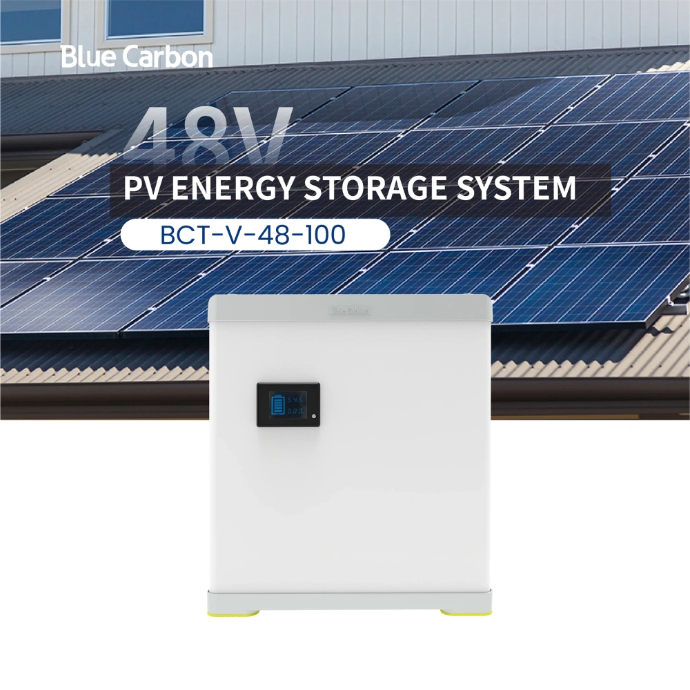 BLUE CARBON 2024 Hot Selling 48v 100ah Lifepo4 Lithium-ion Batteries for Solar Systems