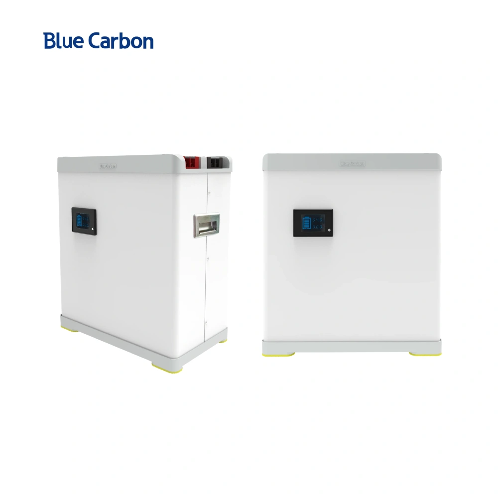 BLUE CARBON 2024 Hot Selling 48v 100ah Lifepo4 Lithium-ion Batteries for Solar Systems