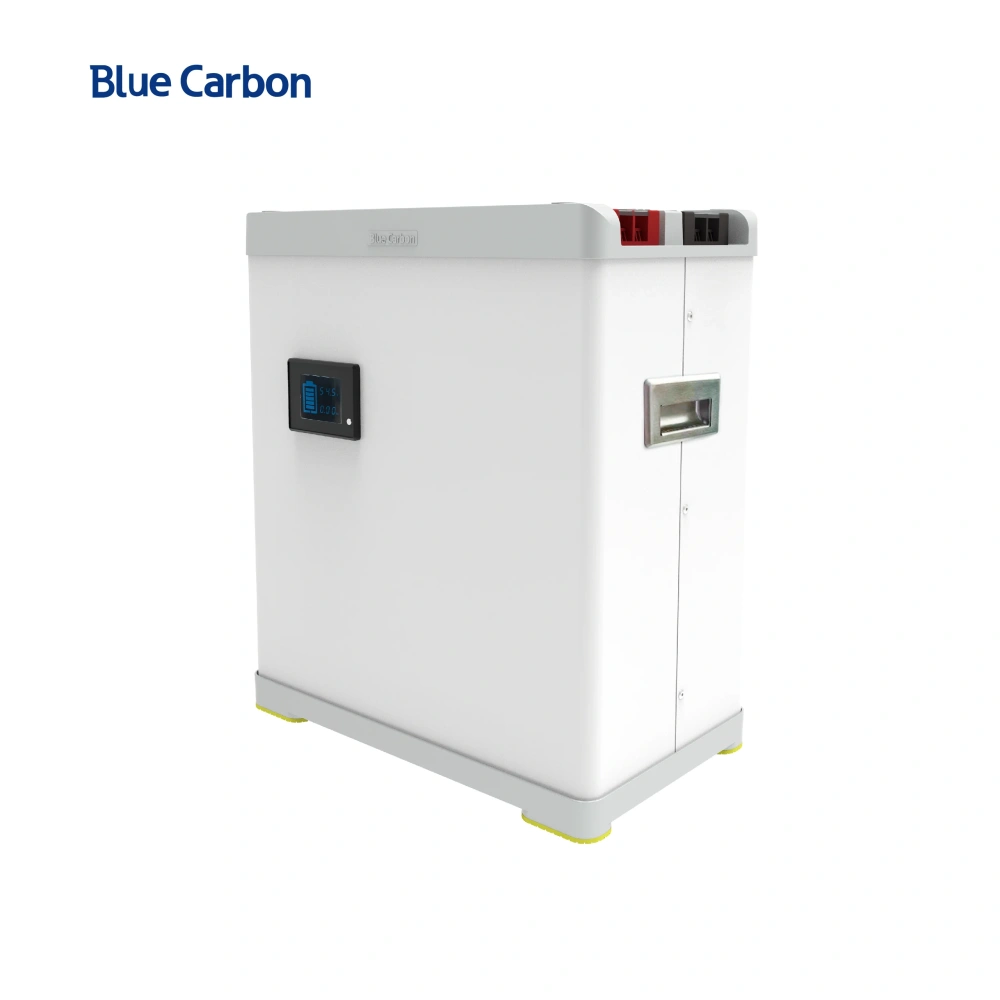 BLUE CARBON 2024 Hot Selling 48v 100ah Lifepo4 Lithium-ion Batteries for Solar Systems