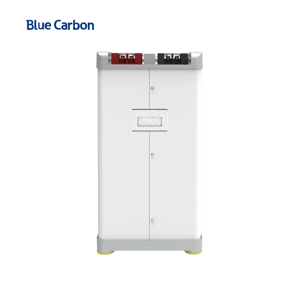 Blue Carbon 2025 Hot Selling 48V 100Ah Lifepo4 Lithium-ion Batteries for Solar Systems
