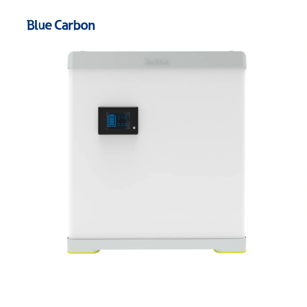 Blue Carbon 2025 Hot Selling 48V 100Ah Lifepo4 Lithium-ion Batteries for Solar Systems