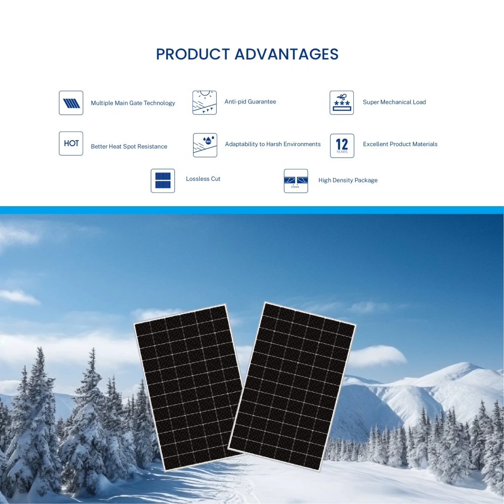 BLUE CARBON 24V 400W 410W 420W 430W 440W Load Panel Power System Solar Energy Hybrid System  24V