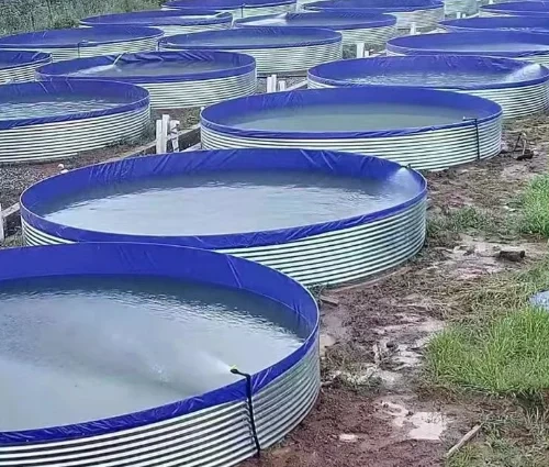 Factory Customised Large Outdoor High Density Galvanised Sheet Farm Pond Canvas Fish Pond Fish Farm Water Tanks