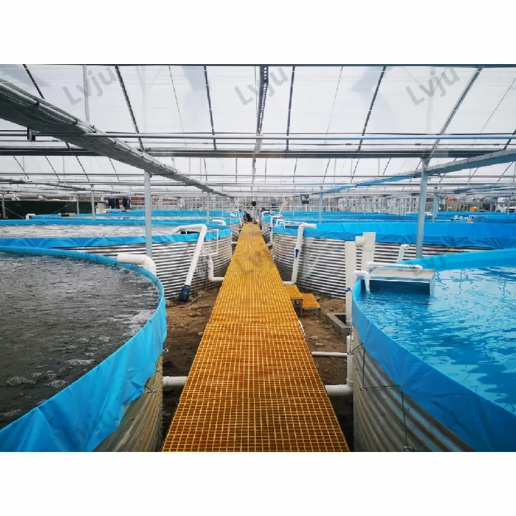 8000 Liter Diameter 3m X Height 1.15m Fisheries Aquaculture Farm Shrimp Fishery Equipment Tank