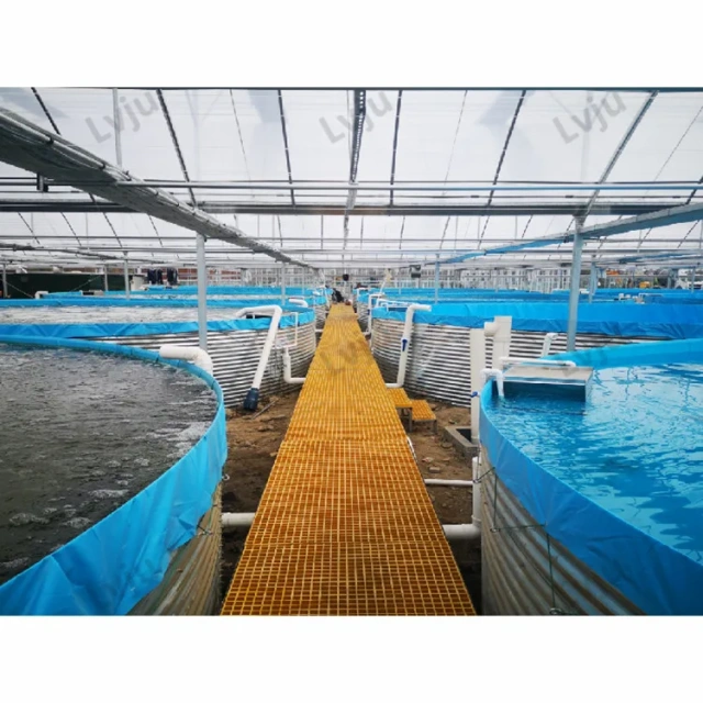 8000 Liter Diameter 3m X Height 1.15m Fisheries Aquaculture Farm Shrimp Fishery Equipment Tank