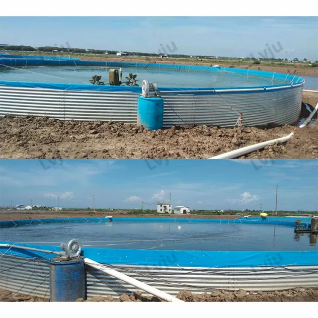 8000 Liter Diameter 3m X Height 1.15m Fisheries Aquaculture Farm Shrimp Fishery Equipment Tank