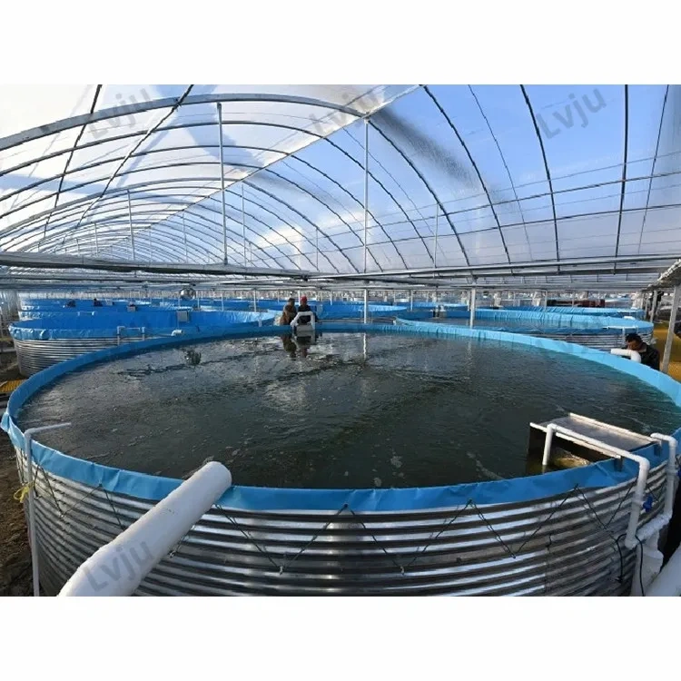 8000 Liter Diameter 3m X Height 1.15m Fisheries Aquaculture Farm Shrimp Fishery Equipment Tank