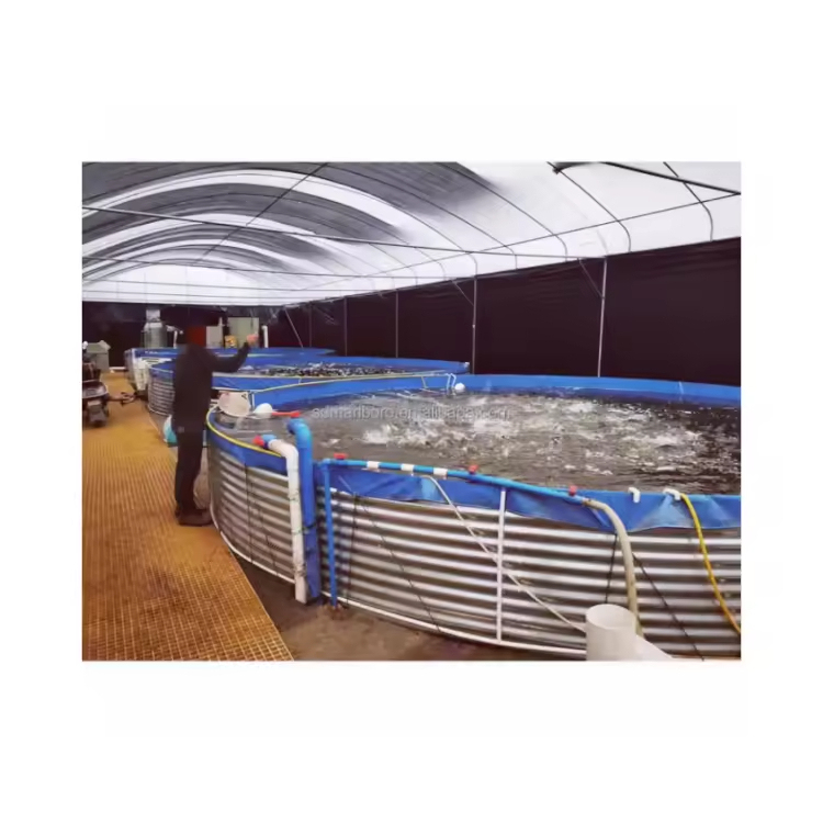 18000 Liters Diameter 4m Height 1.45m Fish Farming Equipment Pond Fish Farming Tank Fish Breeding Pool With RAS System