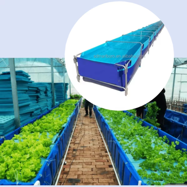 Factory Price PVC Canvas Fish Tanks Aquaponics Pisciculture Fish Pool for Fish Farming  and Vegetables Growing