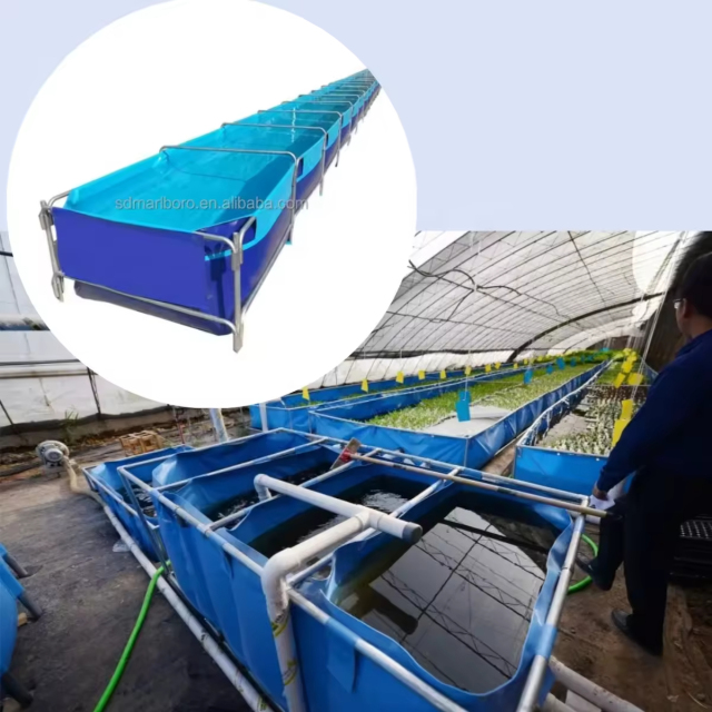 Factory Price PVC Canvas Fish Tanks Aquaponics Pisciculture Fish Pool for Fish Farming  and Vegetables Growing