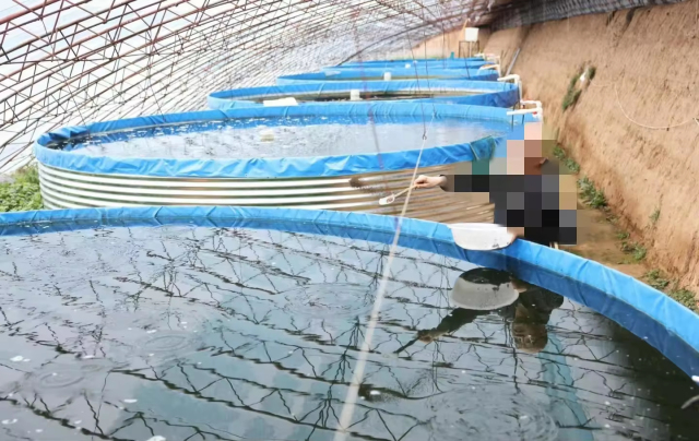 18000 Liters Diameter 4m Height 1.45m Fish Farming Equipment Pond Fish Farming Tank Fish Breeding Pool With RAS System