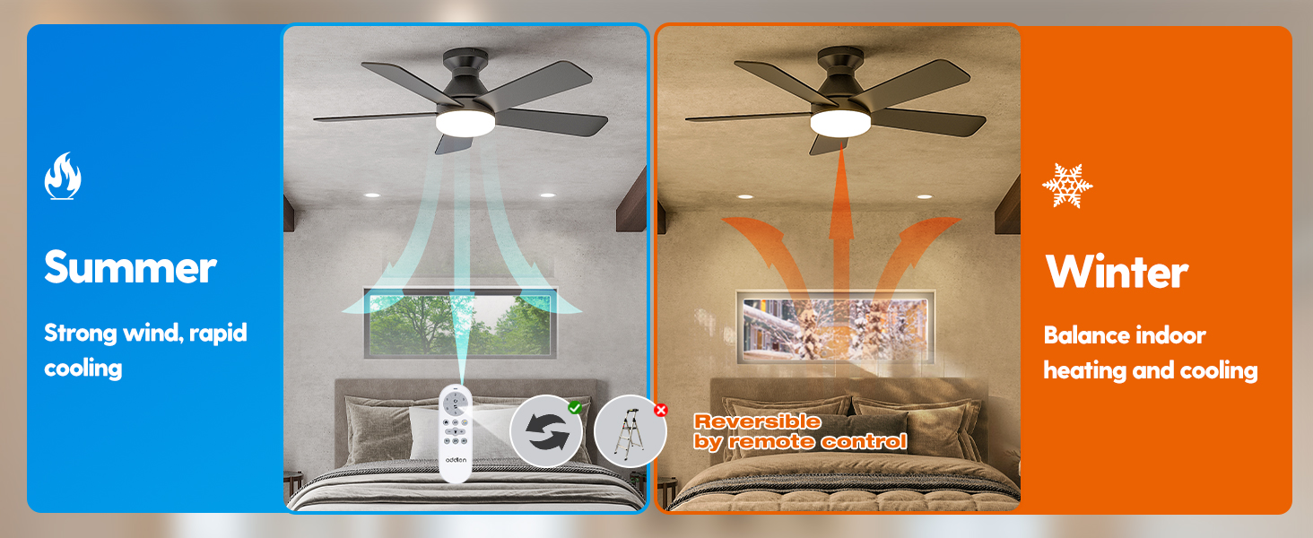 ceiling fan