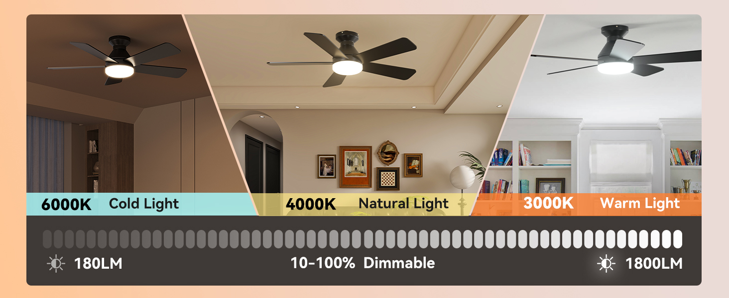 ceiling fan