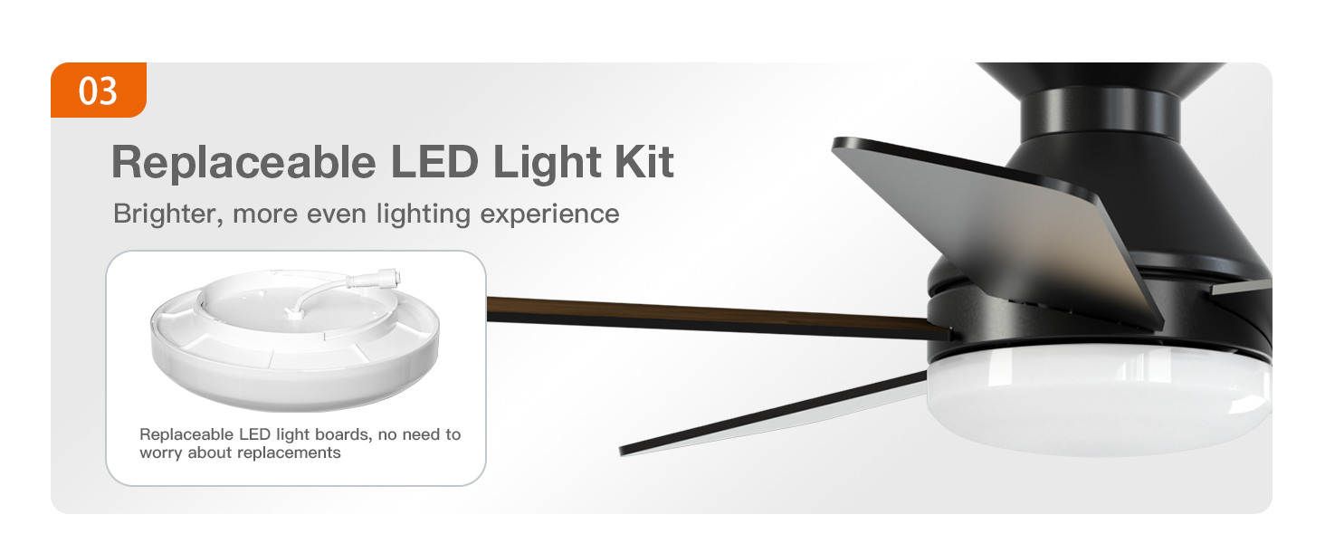 ceiling fan
