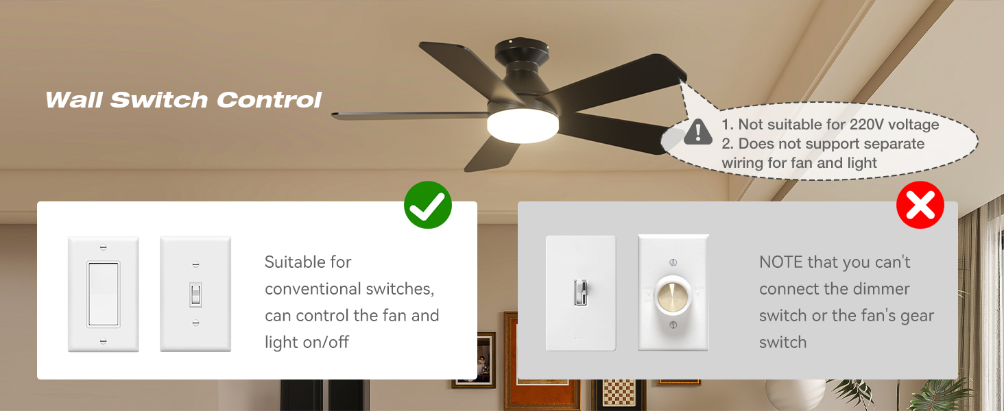 ceiling fan