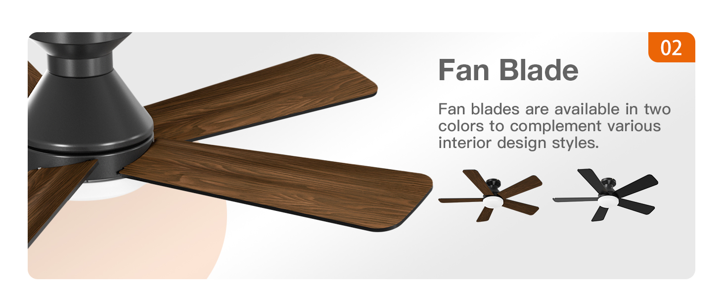 ceiling fan