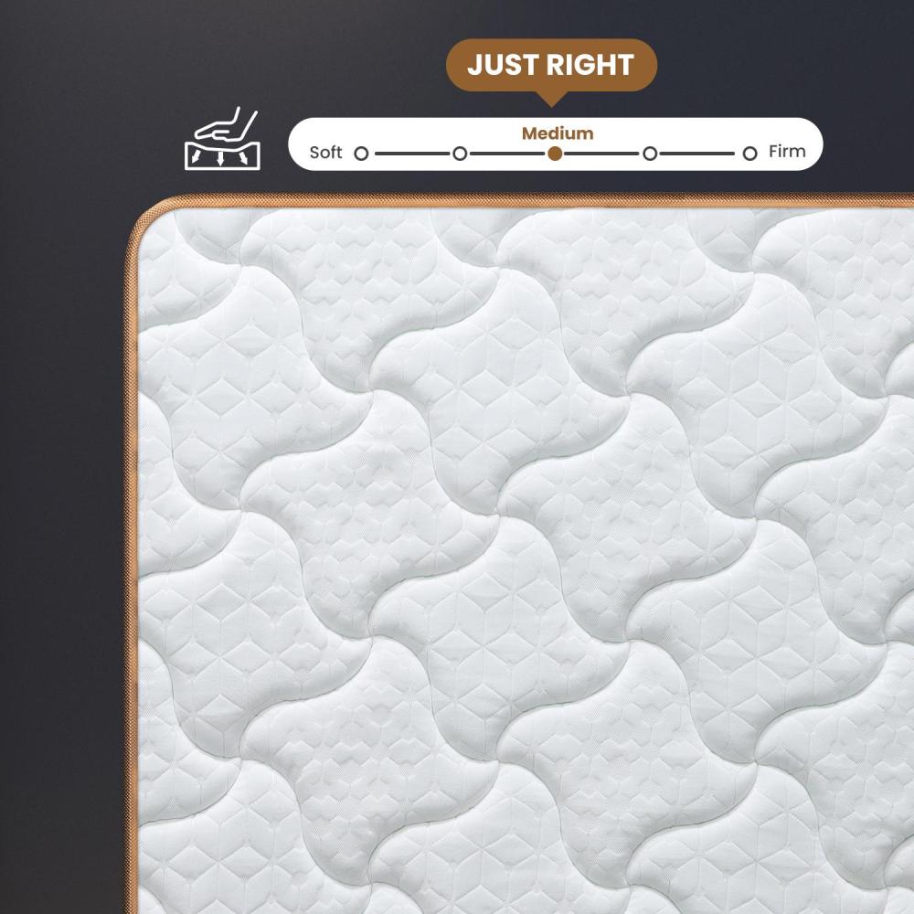 10" Queen Plush Hybrid Mattresses with Independently Encased Coils & Gel Memory Foam, Fiberglass-Free, Motion Isolation-Edge Support, Mattress in a Box, CertiPUR-US Certified