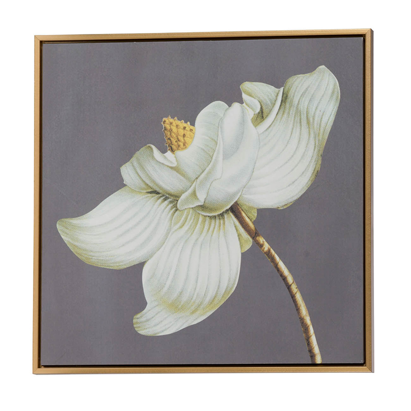 Set of 4 White and Gold Botanical Wall Art Prints, Home Decor for Living Room Dining Room Bedroom Hallway, 20” x 20”