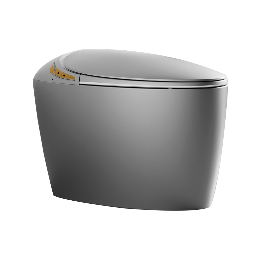 Unique Smart Toilet with Bidet Built In, Intelligent One Piece Toilet For Modern Bathroom, Auto Open/Close Seat, Foot Sensor, LED Display,Night Light, Warm Water & Dryer, Black