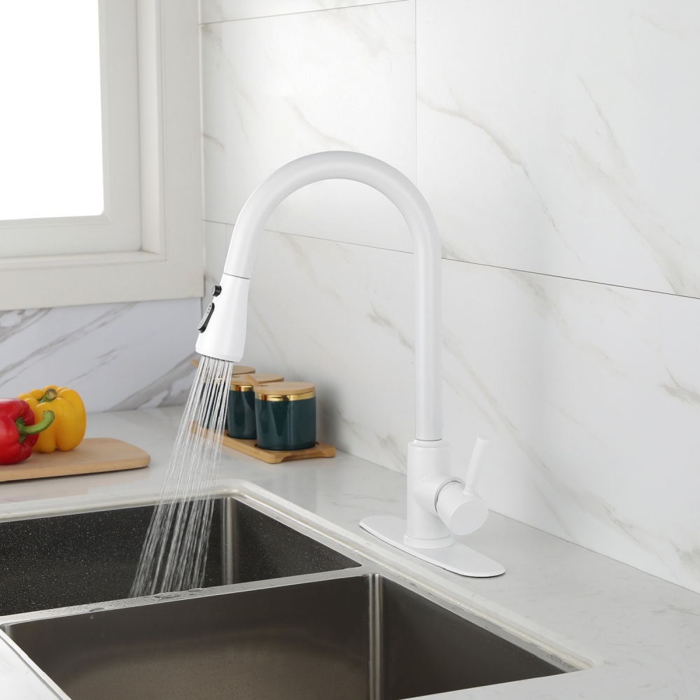 Kitchen Faucet with Pull Out Spray