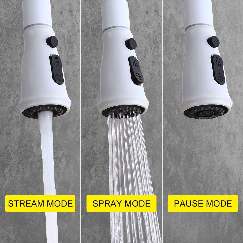 Kitchen Faucet with Pull Out Spray
