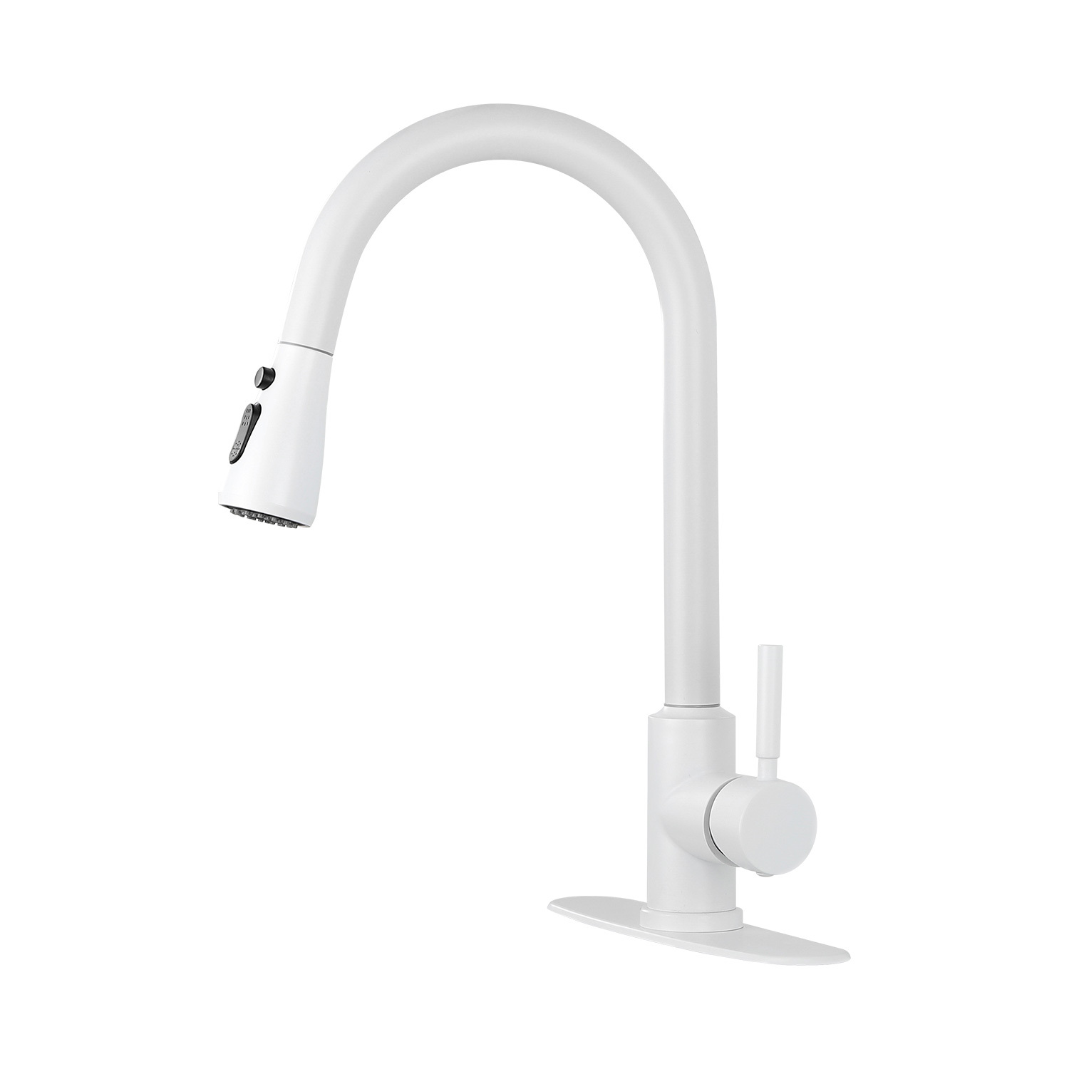 Kitchen Faucet with Pull Out Spray
