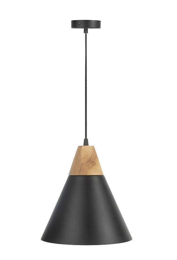 Iron style pendant light