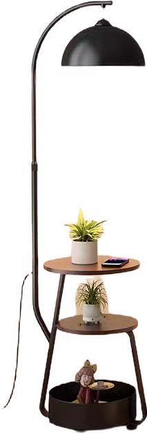 Multi functional floor lamp