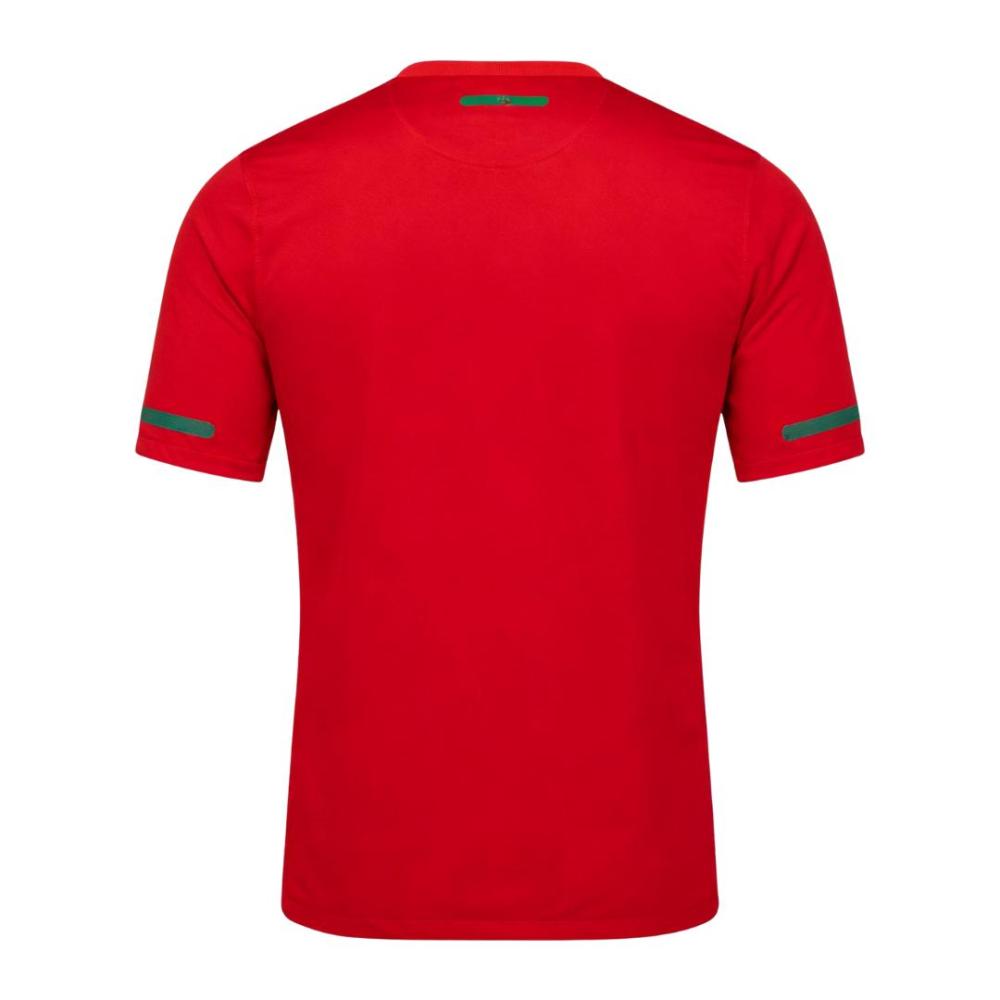Retro Soccer Jersey Portugal Home 2010