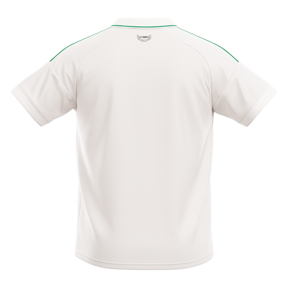 Wales Home Soccer Jersey World Cup 2026