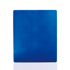 Heavy Duty Plastic Pallet for Warehouse Logistics