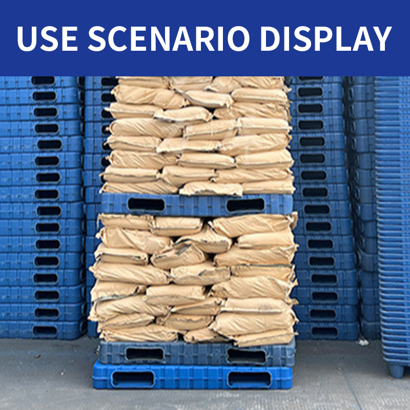 Heavy Duty Plastic Pallet for Warehouse Logistics