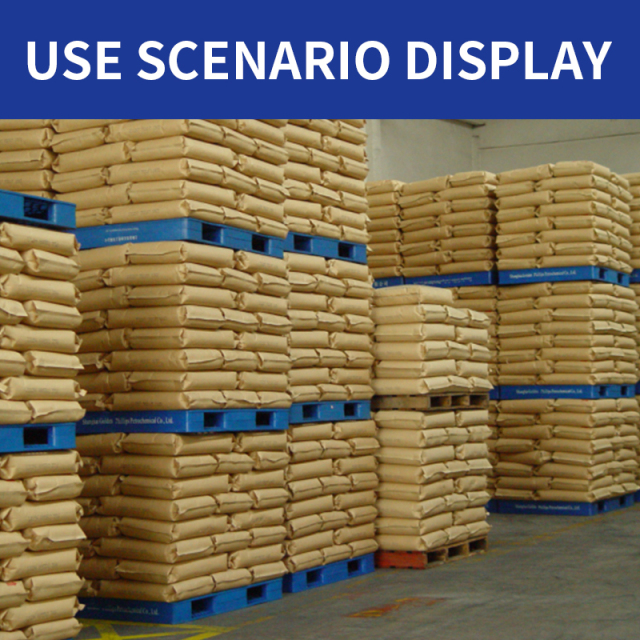 Heavy Duty Plastic Pallet for Warehouse Logistics