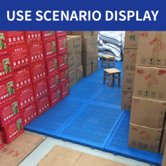 Heavy Duty Plastic Pallet for Warehouse Logistics