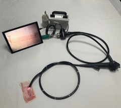 ヨーロッパの獣医用人気ポータブルフレキシブルファイバー尿管鏡医療機器獣医病院光源内視鏡