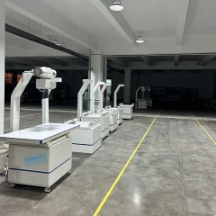 EUR VET High Frequency Fixed Digital Vet Radiography Veterinary X Ray Machine for Clinic