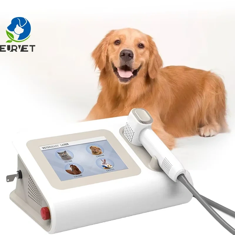 EUR VET Sale Veterinary Instrument Cold Laser Therapy Equipment for Dog Physical Therapy Therapeutic Vet Laser for Animals