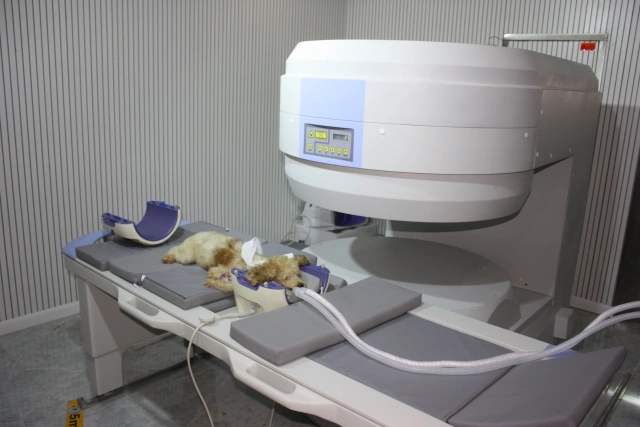 EUR VET Reliable High Quality Veterinary Equipment MRI Medical Machine MRI Magnetic Resonanc MRI for Clinic