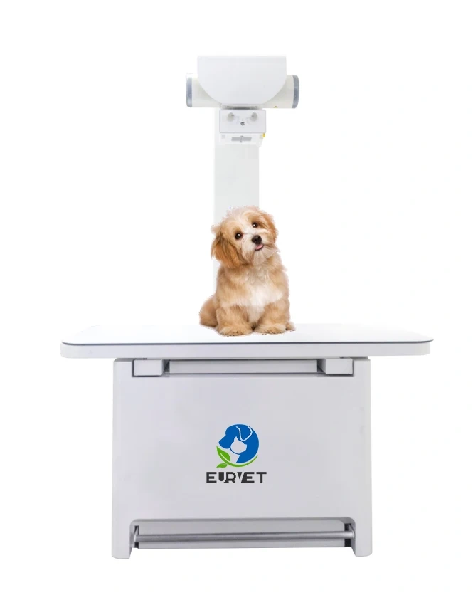 EUR PET Superior Quality Veterinary X-Ray Machine Digital X-Ray Film Veterinary Instrument for Hospital