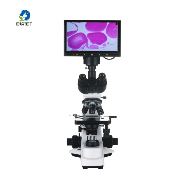 Eur Pet Reliable Top Quality Veterinary Biological Microscope Veterinary Instrument