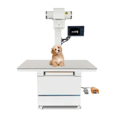 EUR VET High Frequency Fixed Digital Vet Radiography Veterinary X Ray Machine for Clinic