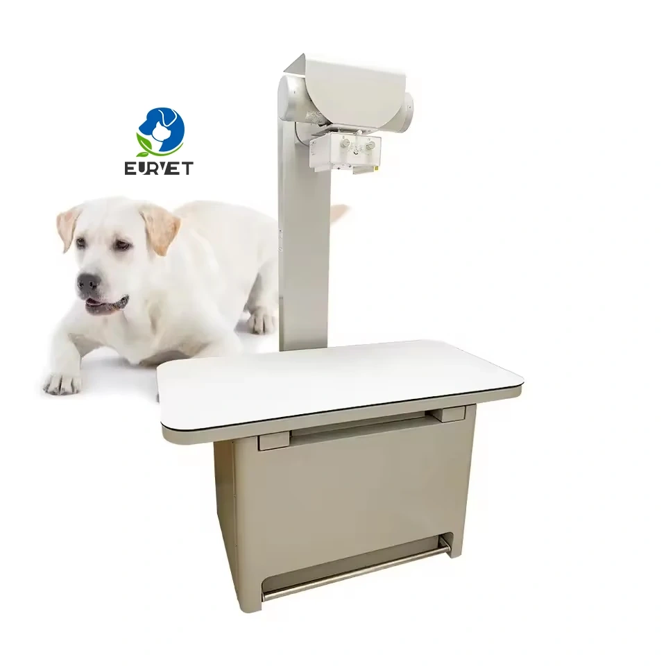 EUR PET Superior Quality Veterinary X-Ray Machine Digital X-Ray Film Veterinary Instrument for Hospital