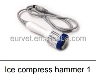 EUR VET Best Veterinary Equipment Laser Therapy Products Laser Therapy Device for Pets Price