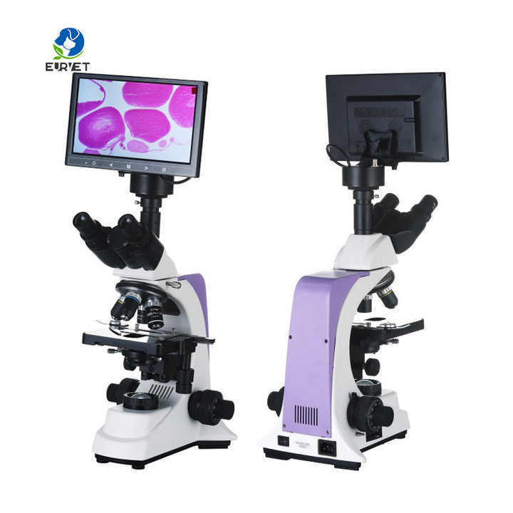 Eur Pet Reliable Top Quality Veterinary Biological Microscope Veterinary Instrument
