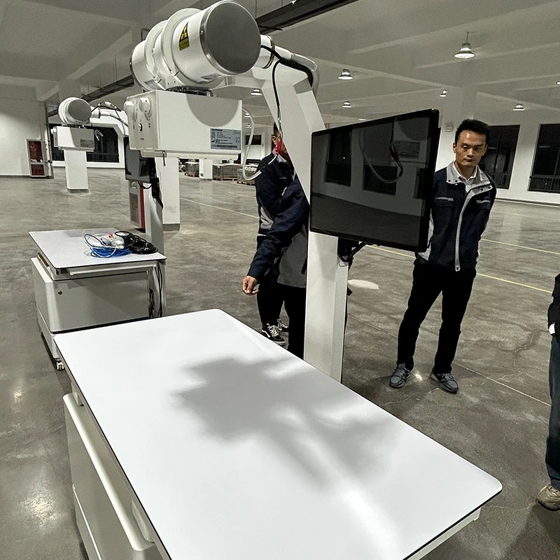 EUR VET High Frequency Fixed Digital Vet Radiography Veterinary X Ray Machine for Clinic