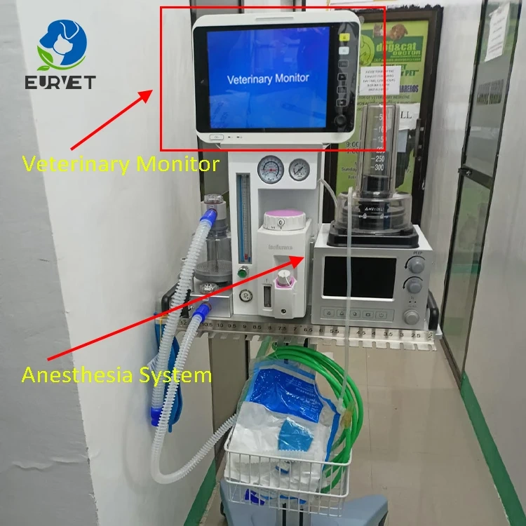 EUR PET Luxuriant Veterinary Diagnostic Anesthesia Machine Comprehensive Vet Anesthesia Device Veterinary Instrument