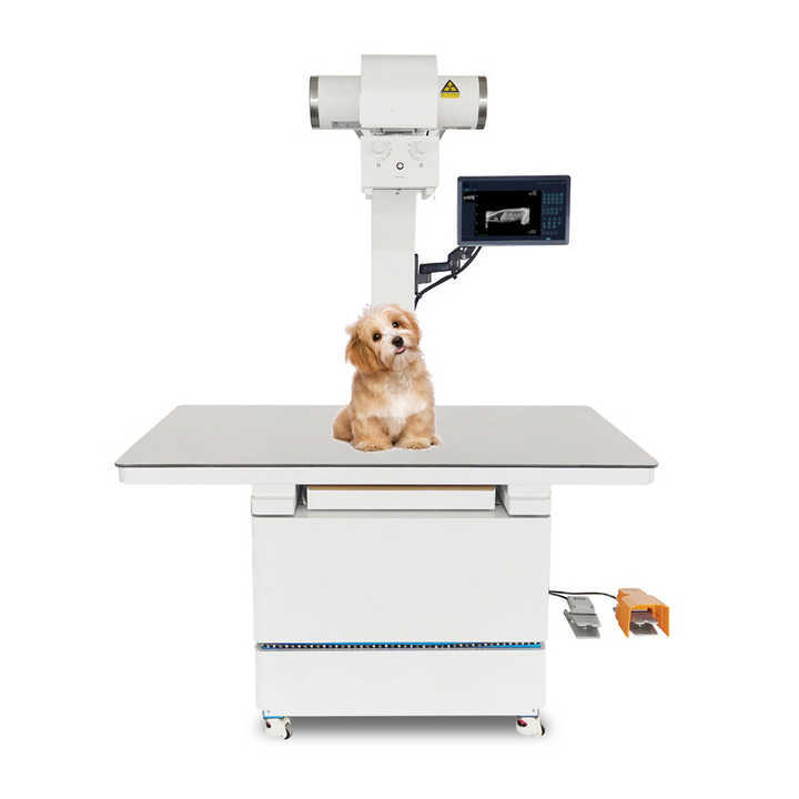 EUR VET High Frequency Fixed Digital Vet Radiography Veterinary X Ray Machine for Clinic