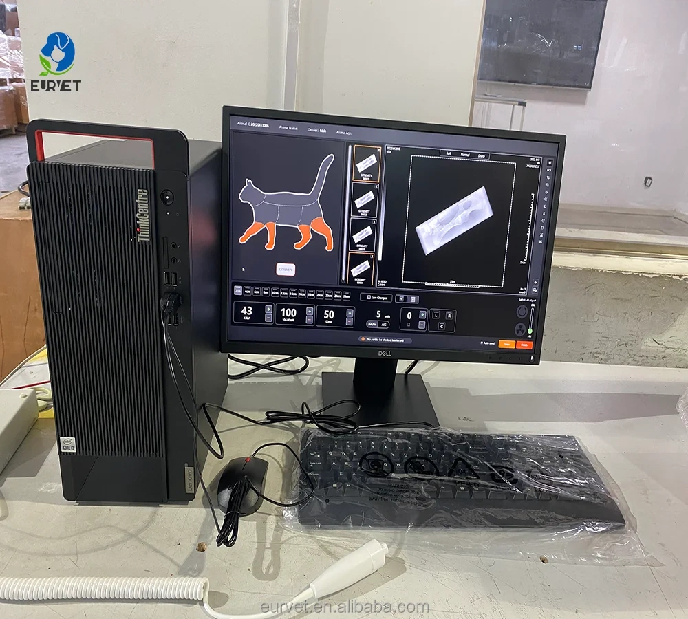 EUR PET Best Price Digital X-Ray Flat Panel Detector Veterinary Equipment Practical 32KW Veterinary X-Ray Machine