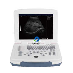 EUR PET on Sale Veterinary Portable Ultrasound Scanner Veterinary Instrument Small Animal Pregnancy Ultrasound Machine