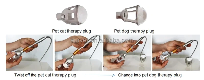 EUR VET Best Veterinary Equipment Laser Therapy Products Laser Therapy Device for Pets Price